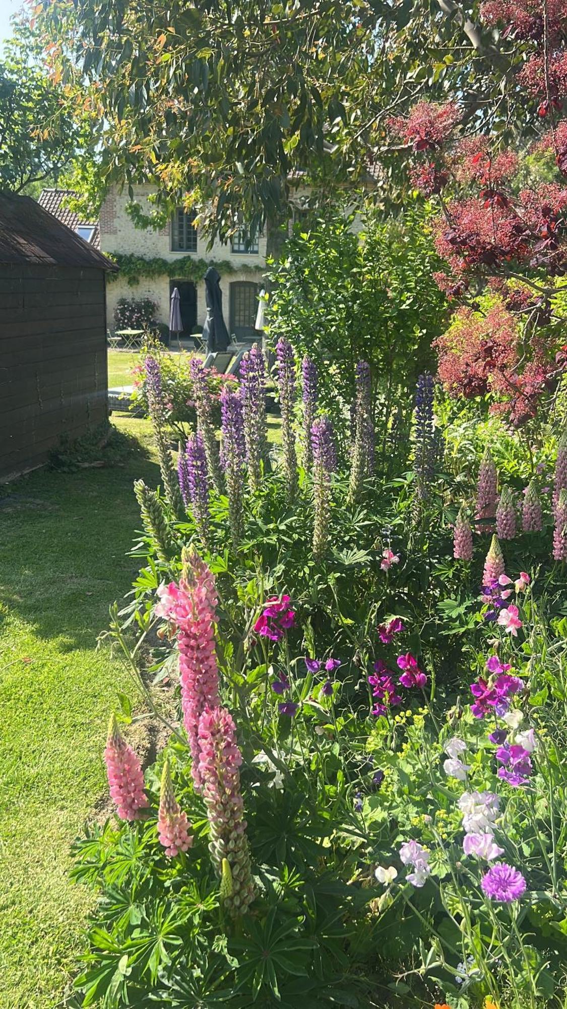 La Maison D'Aline - Honfleur - Maison D'Hote De Charme A La Normande Pennedepie Room photo